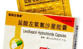左氧氟沙星胶囊
