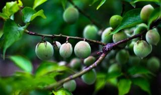 肾结石怎样治最好 肾结石怎样治最好