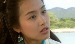 新射雕英雄传全集 新射雕英雄传全集