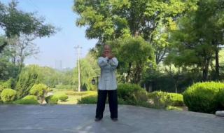 杨氏太极拳85式 杨氏太极拳85式