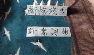 wap歌词中文翻译完整 wap歌词中文翻译完整