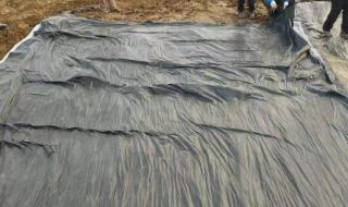 鱼塘防渗膜生产厂家