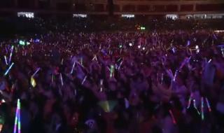 刘德华2010年演唱会