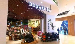 苏州宠物美容学校 苏州宠物美容学校