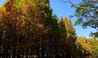 清远森波拉奇妙世界