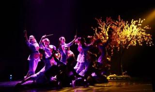 铿锵玫瑰手语舞