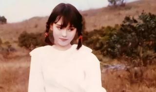 全国最好的律师 全国最好的律师