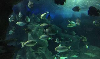 长沙海底世界在哪里