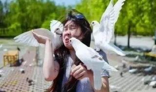 下雪发的朋友圈简单