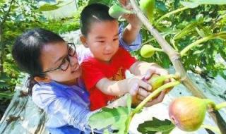 亚当夏娃偷吃禁果