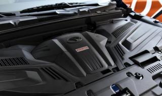 企鹅找北极熊玩