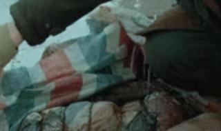 南大碎案尸案破了2020 南大碎案尸案破了2020